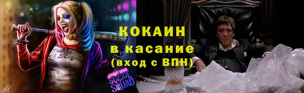 прущие грибы Алексин