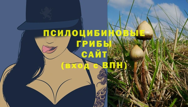 прущие грибы Алексин