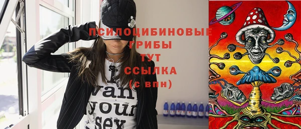 прущие грибы Алексин