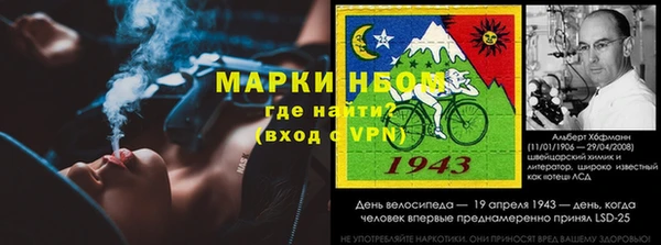 прущие грибы Алексин