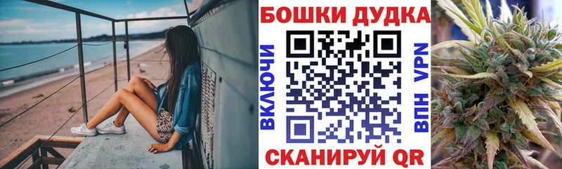 Канабис семена  Купить закладки  Новоалтайск 